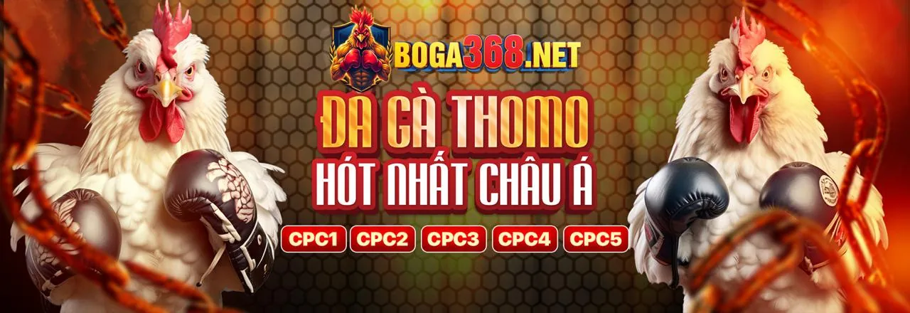 Giao Diện Cá Cược Đá Gà Bong888 Win